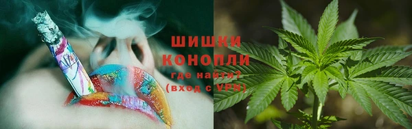 PSILOCYBIN Балахна