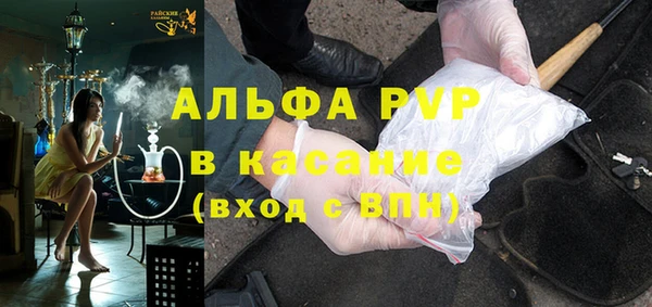 PSILOCYBIN Балахна