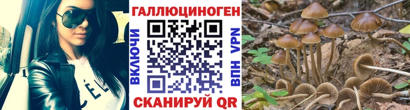 Галлюциногенные грибы Magic Shrooms  Лиски 